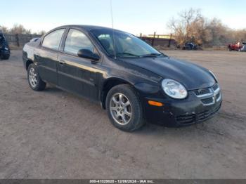  Salvage Dodge Neon