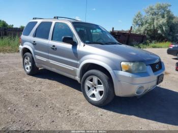  Salvage Ford Escape