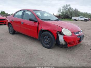  Salvage Dodge Neon