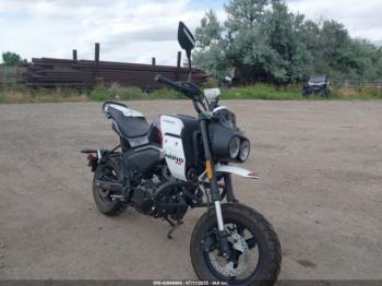  Salvage Cf Moto Papio