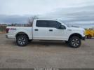 Ford F-150 Xlt Image 12