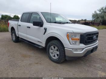  Salvage Ford F-150