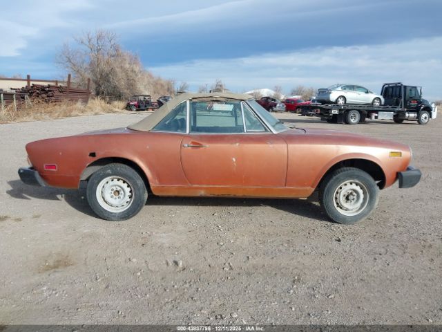 FIAT 124 Spider Image 8